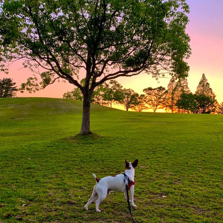 Fa32648a 24c1 4297 8740 4d69cdfa72eb 1558697860072