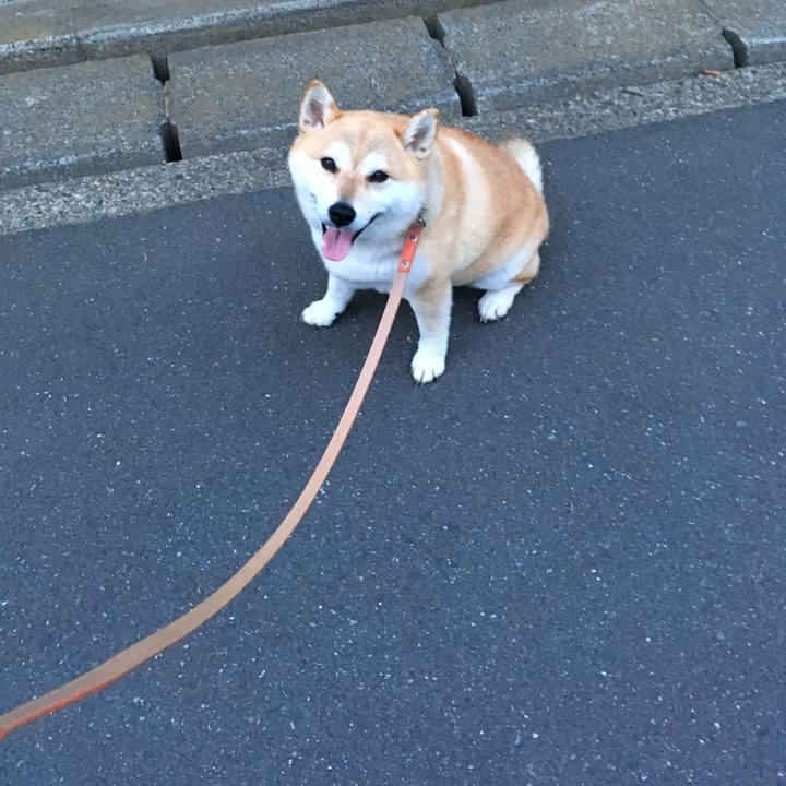 Fa3284c9 20a7 401a 9edf 327b933d9141 1559387571157