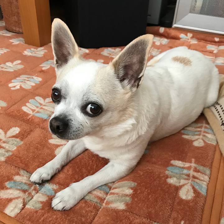 Fa32aa52 45e0 4691 93d9 0caaa62c2c78 1520337761797