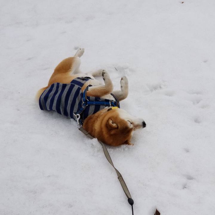 Fa32fc46 7303 4e29 9223 81121531843a 1551236836156