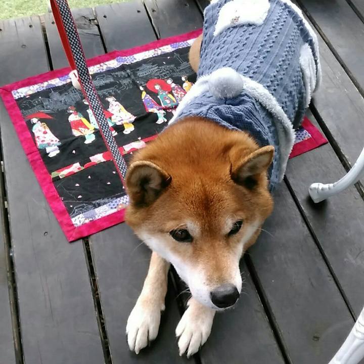 Fa330ed3 c2a9 4b95 8c65 2bba2d3c577a 1578125900890