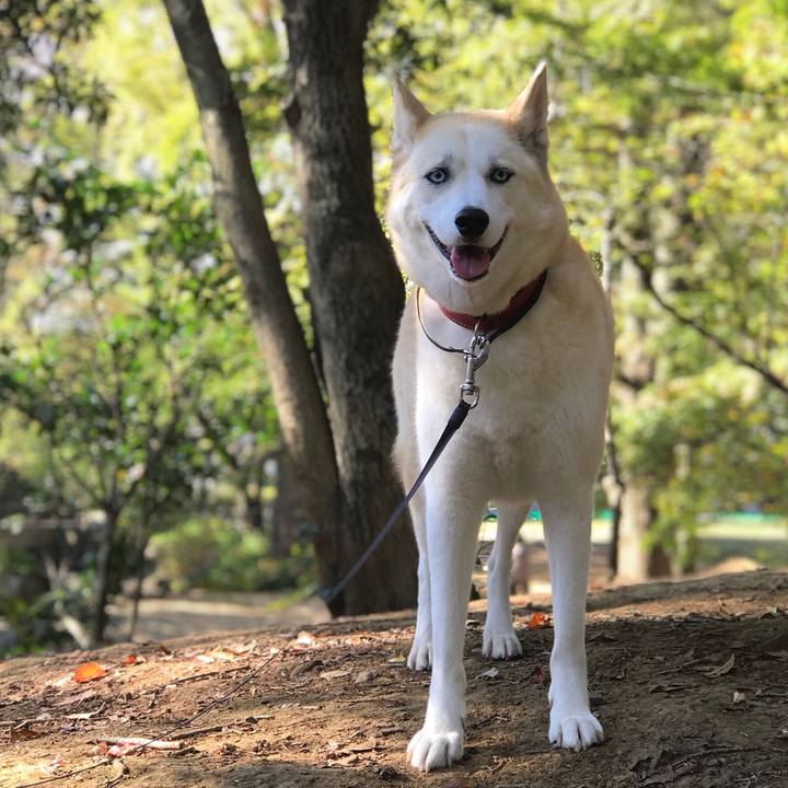 Fa331492 33a5 4b0c 9137 229c607f9b69 1541205493221