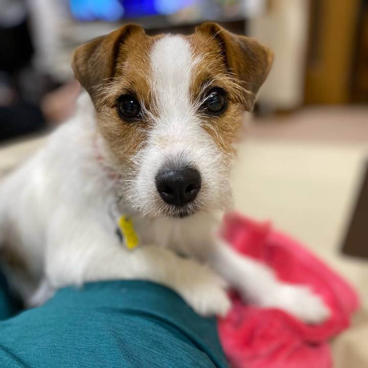 Fa334589 c66f 494c b37b 24f601707095 1657719368748