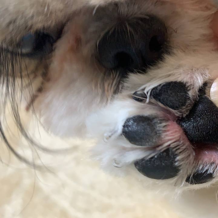 Fa335063 6dfa 4f79 852c 0036a8dfdfce 1649501936635