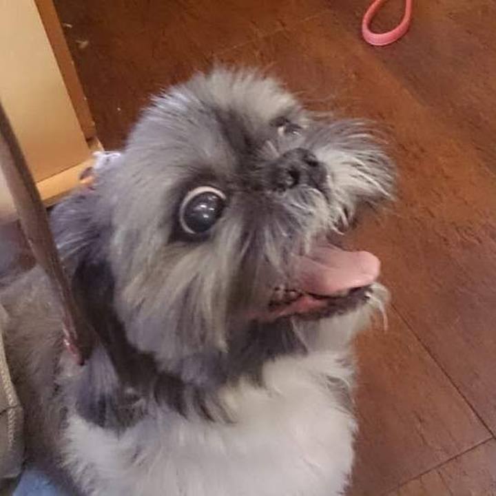 Fa3398d1 62e6 4bfe b4cf ec838a40615a 1599288542180