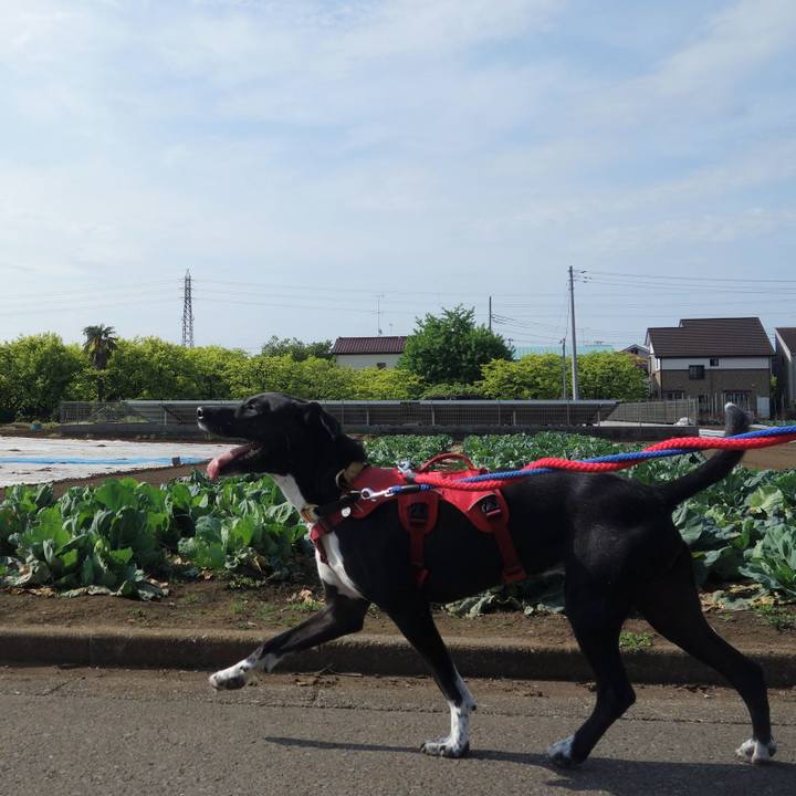 Fa33c075 73d9 4fd5 bf96 4a227f354a1a 1588641138166