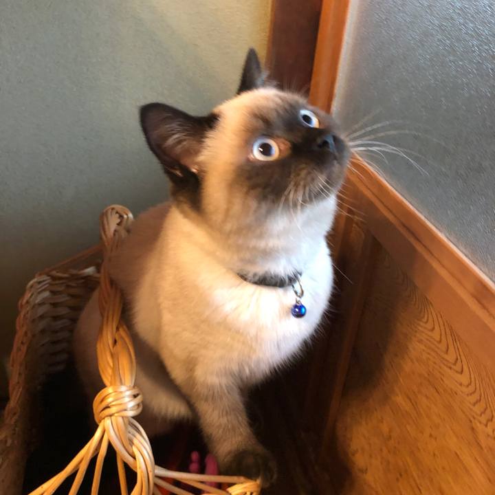 Fa33f88b ea67 4c4b 93a7 7d8a0baaf094 1593489285982