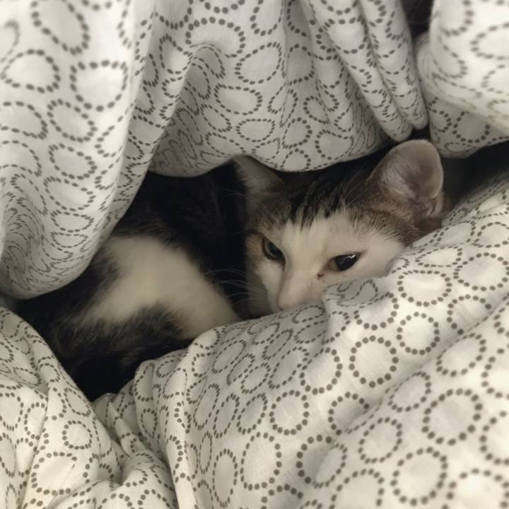 Fa34092c 4eaa 497c aba2 b15d91439796 1542942901505