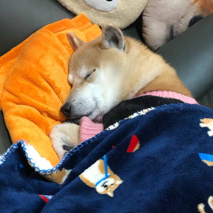 Fa34102d 5460 4582 adcf 04f0de3c1116 1579251949596