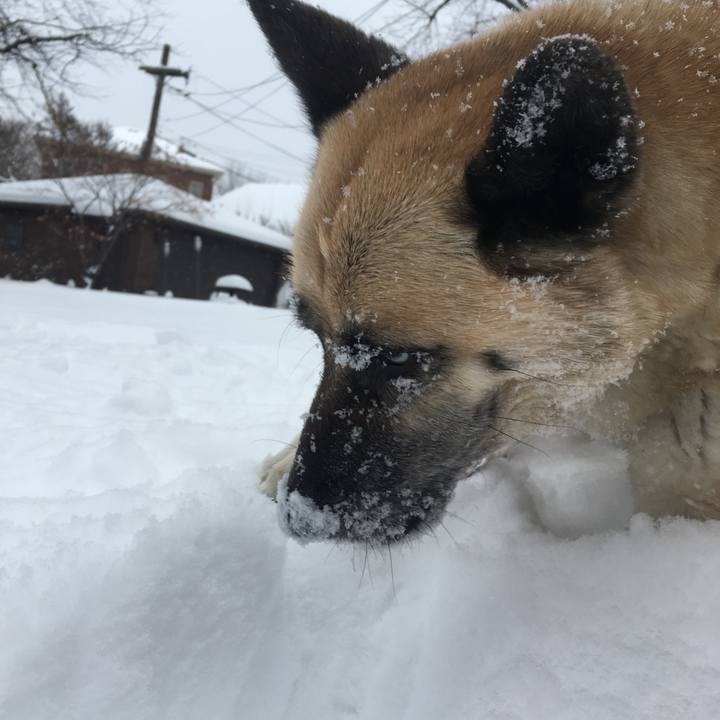 Fa341388 3f35 4701 813a 6884c7ee3430 1518300298592