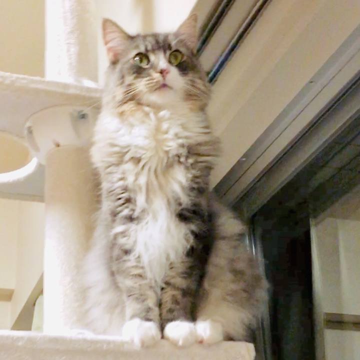 Fa342857 f1e7 41e7 ab5f 5a4f46f8cdfc 1559411360229