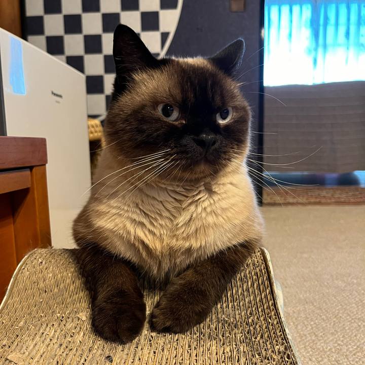 Fa342ead b64e 4559 843a 5d657282ccbf 1724032725819