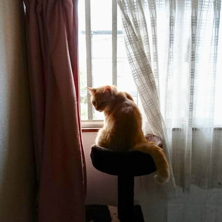 Fa34625c 6ab5 4651 9d67 4fdd55720dae 1545046727974