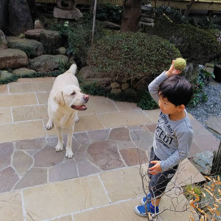 Fa346501 4f8e 477a a8bb 635661c19559 1552711347354