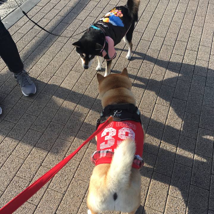 Fa34773f 1109 469e 9086 374057168fc1 1575193281748