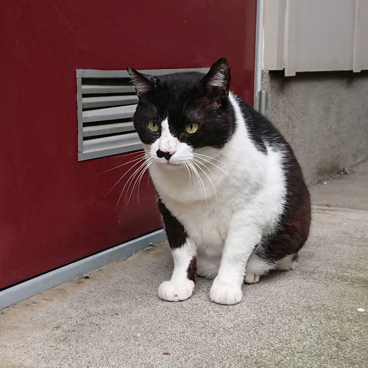 Fa348c89 7546 40af a8e4 8e0b113ef8b6 1538273381831