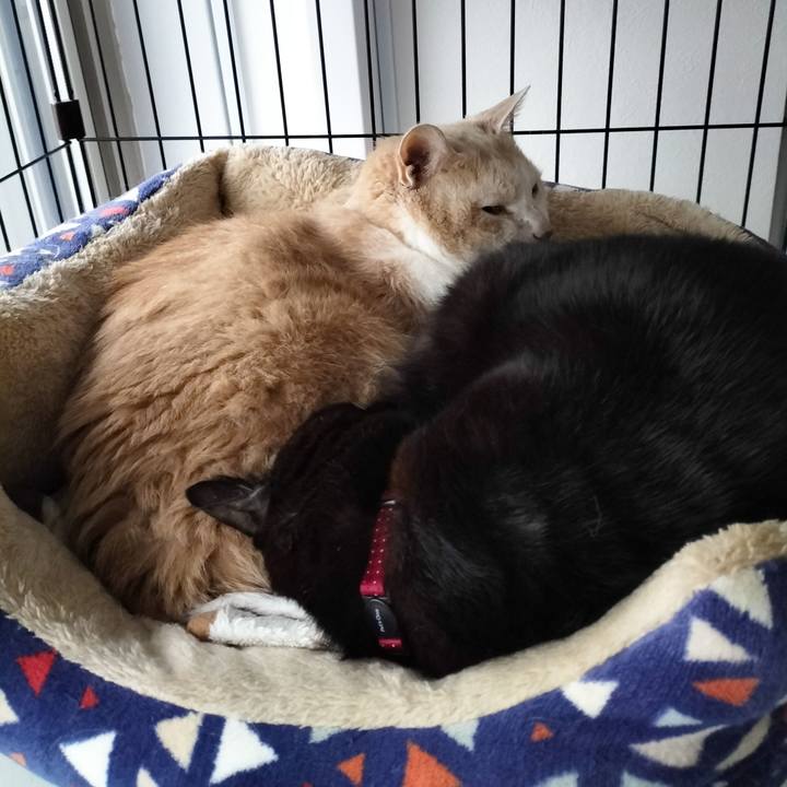 Fa34bad2 2d14 4925 856a 8be67482a68e 1708468605349