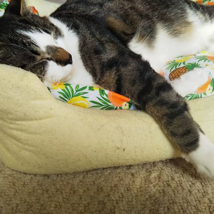 Fa35064d a18a 46d2 8346 3b86a2c4e70a 1604759115778