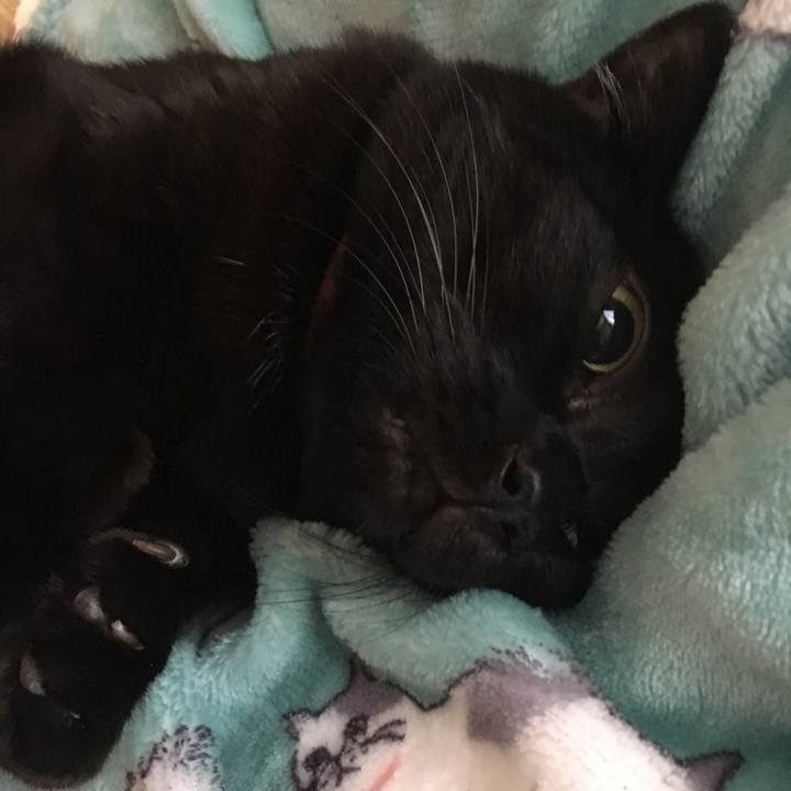 Fa35186f 5353 4c17 a96f a1d6d2d06f06 1510266433061