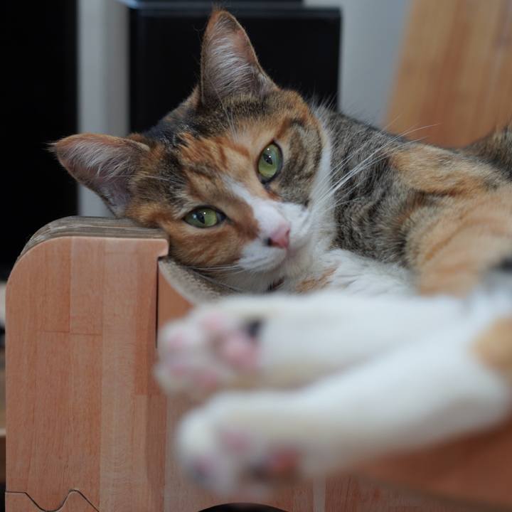 Fa3579c1 8536 4a05 8dba 10b1ee8353c7 1627625273059