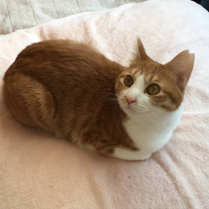 Fa35a5f7 7189 4817 b935 bc636c49ba9d 1511004495307