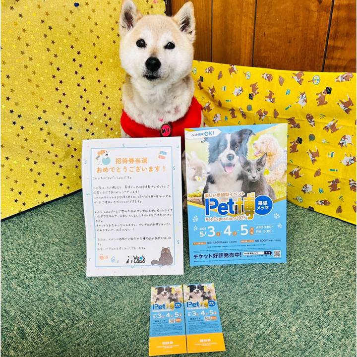 Fa35cd14 e701 49bf a0ca 9d7950c2faf7 1745911492841