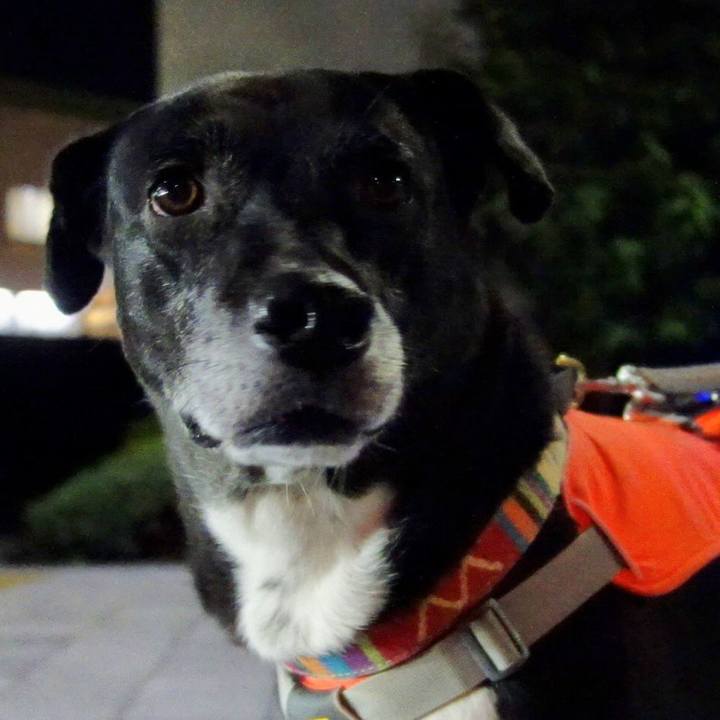 Fa35d255 8ea5 49c5 829c b347b10080c7 1730285127423