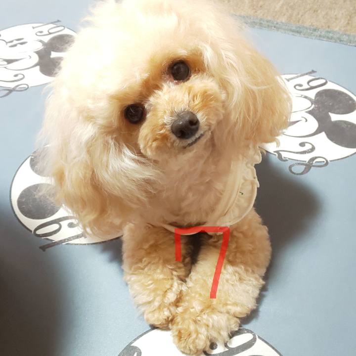 Fa35d9a3 3b25 40a9 8a39 e767ed0d9372 1688089761781