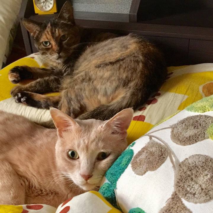 Fa35fcf6 f618 48f8 8d04 64b5c4c9a9b1 1536705605785