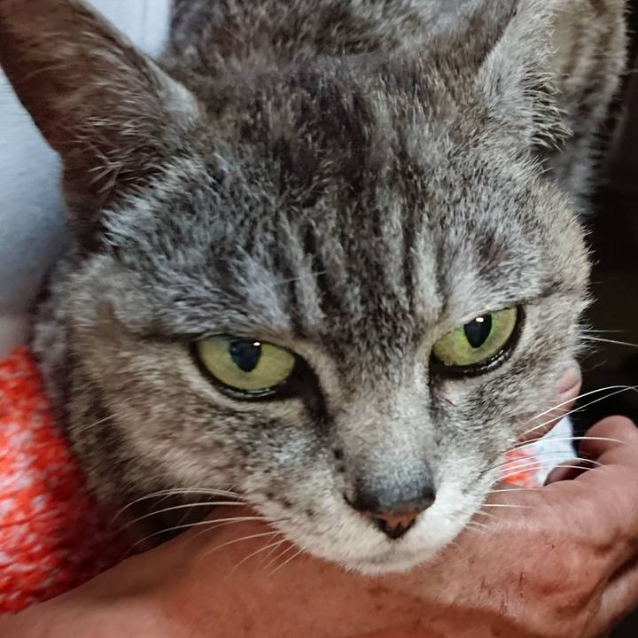 Fa36366b a3bc 4d81 9c7a 003c73bcf6a5 1563620460684