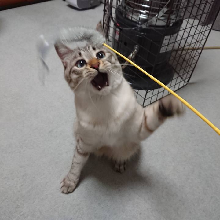 Fa36740f a0ea 4889 89d3 399a42b6ef19 1551199106608