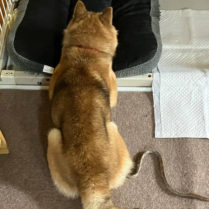 Fa367bed 0c47 4241 aadc 202a496d2f8e 1764827806663