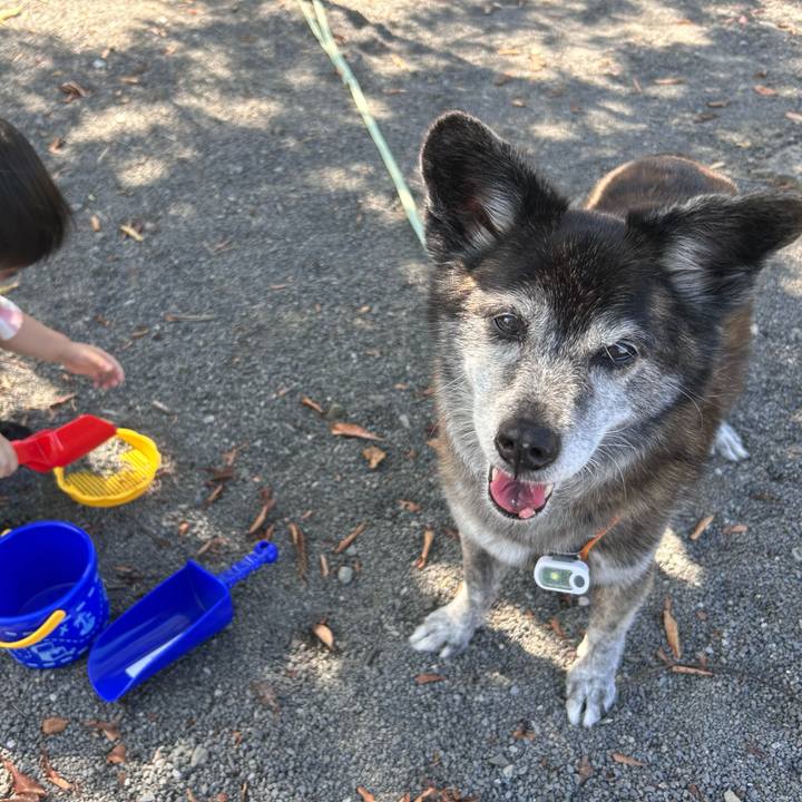 Fa36f054 ae85 4ebb a21a 80e898c3cfe7 1764287339920