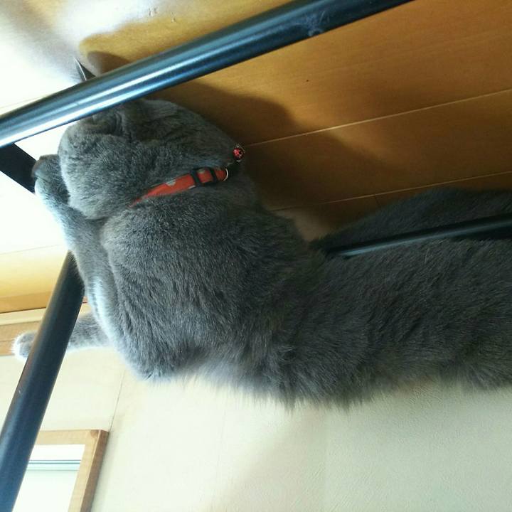 Fa373707 f8b9 47cb a47c 0f58bddc8ef1 1534240478542