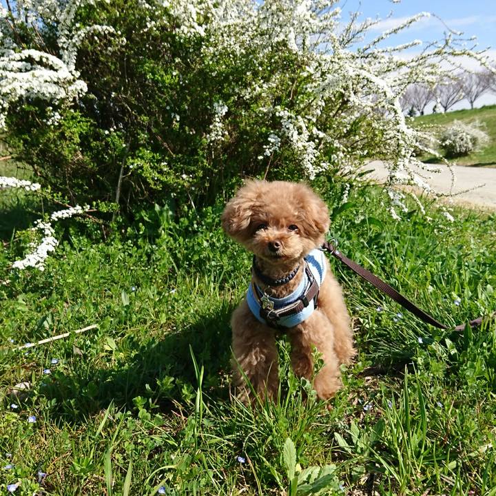 Fa378dcf bf60 4dd8 a4e7 4394a9082452 1521267359983