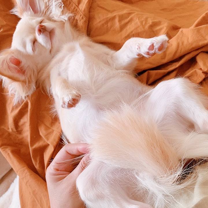 Fa379dad b016 4b8e 98d1 7bb86620eb7e 1625568143671