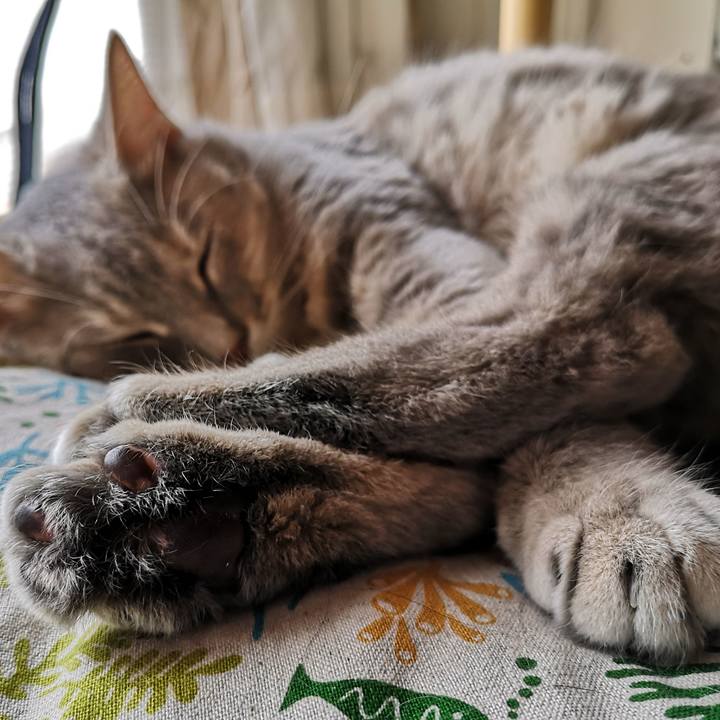 Fa37ae2c b555 4a29 a165 0fd6a72416a0 1591432039652