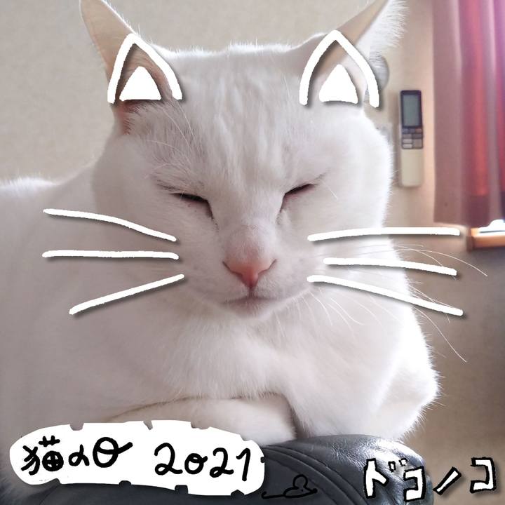 Fa37b0e0 f6ed 4469 aae1 22b99f46a04d 1613960616448