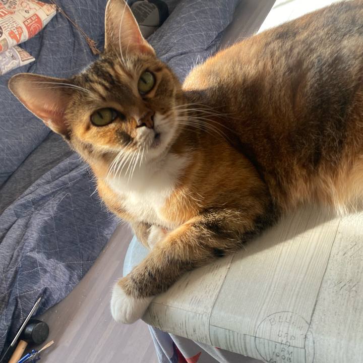 Fa37f0ca 9043 43cf 9099 407ae9ca0c55 1638580717868