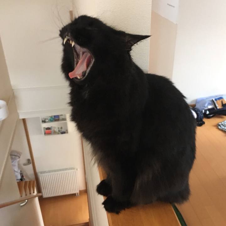 Fa37fb2c 45a6 4a98 9566 fa84df09177f 1532940240988