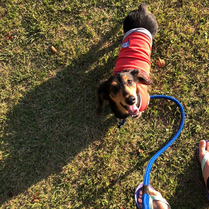 Fa37ffc8 da98 416f 89d8 918006a62249 1540189724968