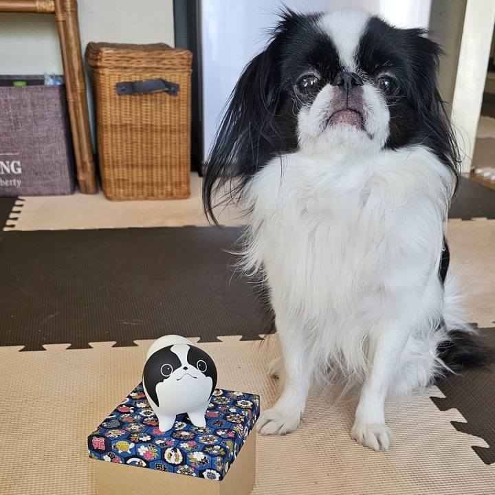 Fa383133 92df 4019 90e3 b218b2cc5bae 1734001720228