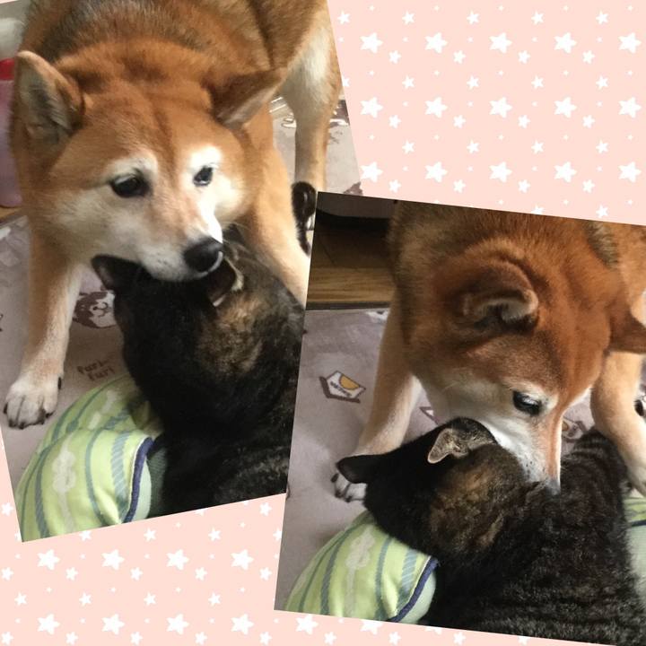 Fa383599 d4f9 487e a820 d7f0b0481a6b 1620363963829