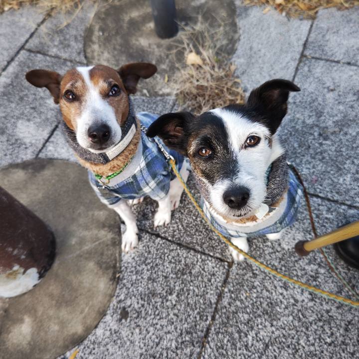 Fa385cca f46f 4ead 8e5c 1ba28af70534 1736551703441