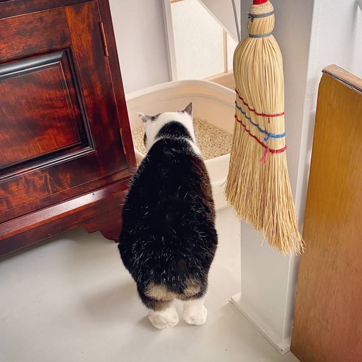 Fa386d0e 6729 4562 bc46 ad2ebd11b73f 1585467089613