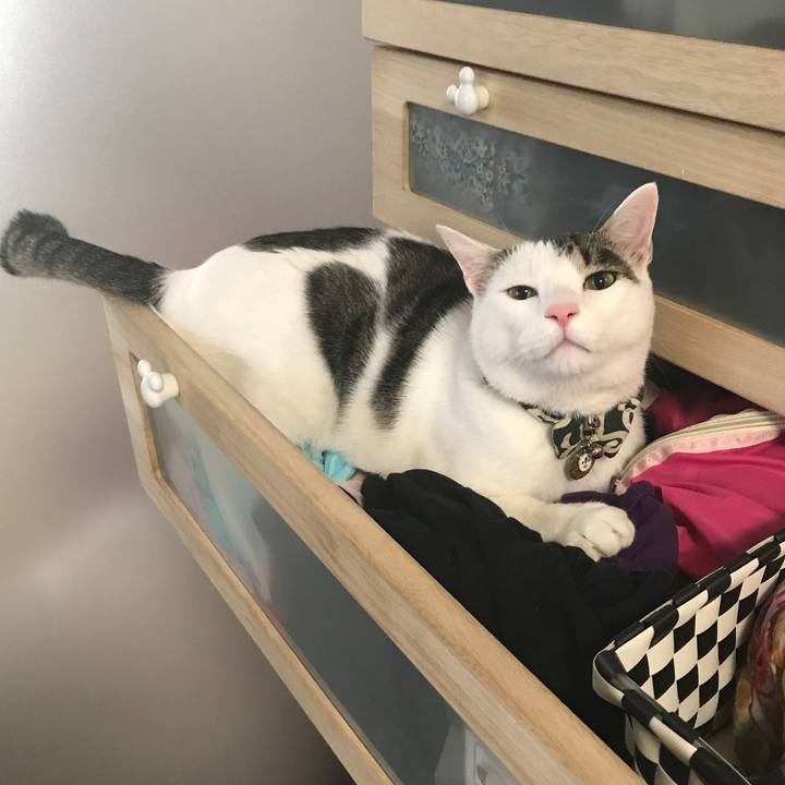 Fa386f95 d684 41c3 81fa 506e2e7f95d8 1513861765675