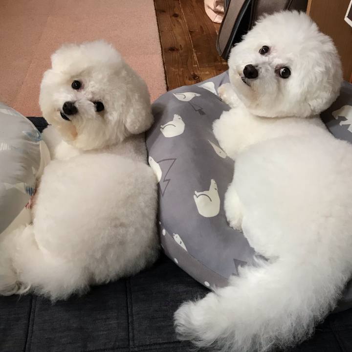 Fa387194 8f9b 419b ae44 f4de4439bed4 1568424692301