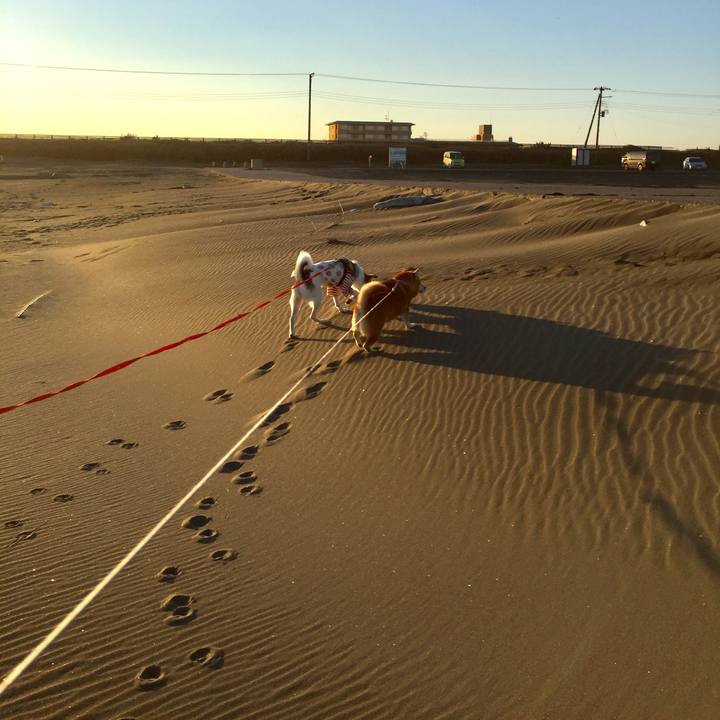 Fa387f88 a295 483b ab50 8f7499434618 1542521603726