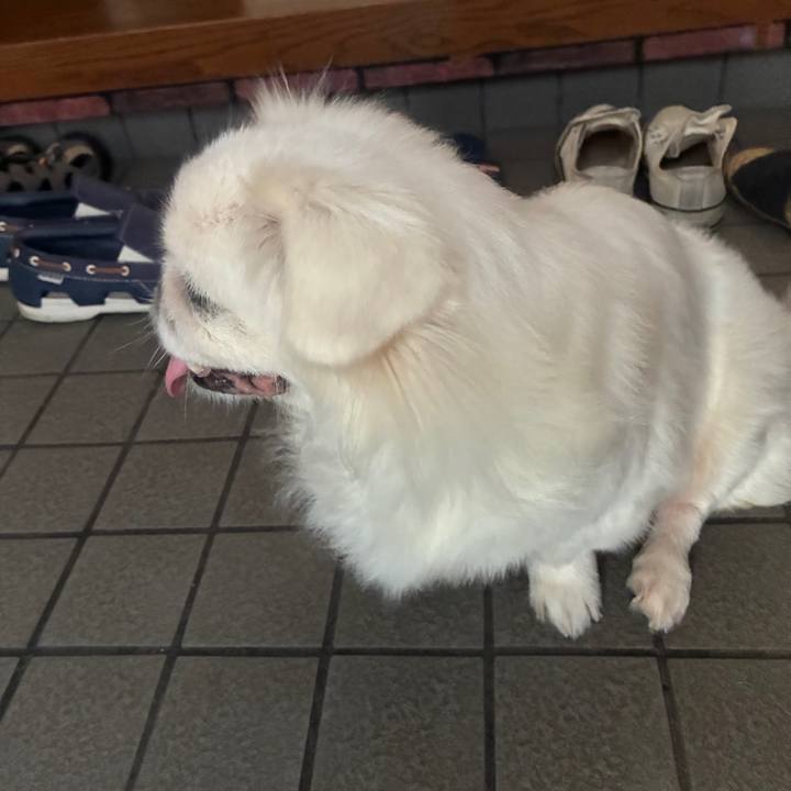 Fa389170 5717 466d a211 e0b15bebe8cd 1756083867801