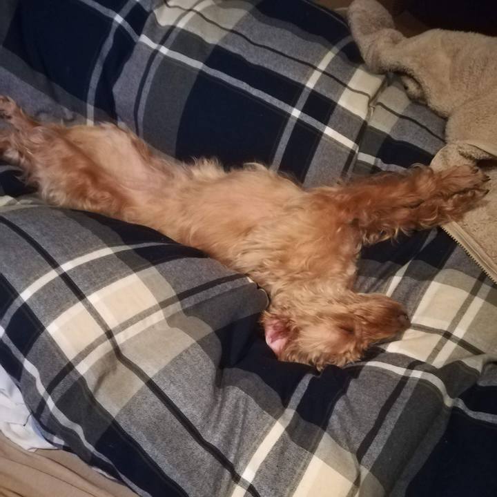 Fa38ff6b 5450 438a 93eb 5f5ee9e754cd 1556660058766